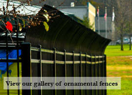 Commerical Ornamental Link to Gallery of Pictures